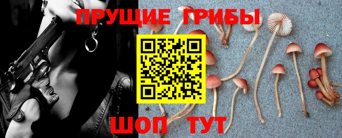 Псилоцибиновые грибы Magic Shrooms Кизляр
