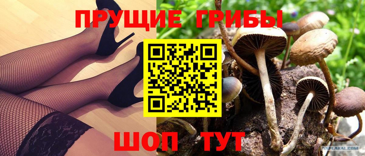 Кизляр  Галлюциногенные грибы MAGIC MUSHROOMS  Вход с VPN 