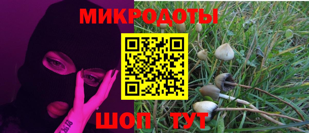 Псилоцибиновые грибы MAGIC MUSHROOMS  Псилоцибиновые грибы ЛСД  Кизляр 